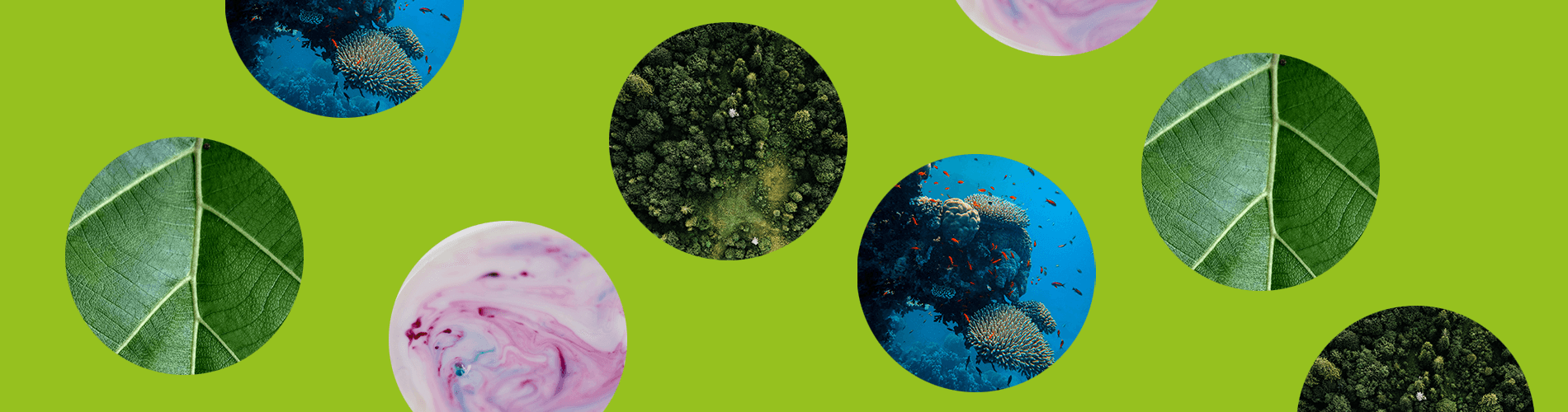 Carbon13 SEIS Fund IX