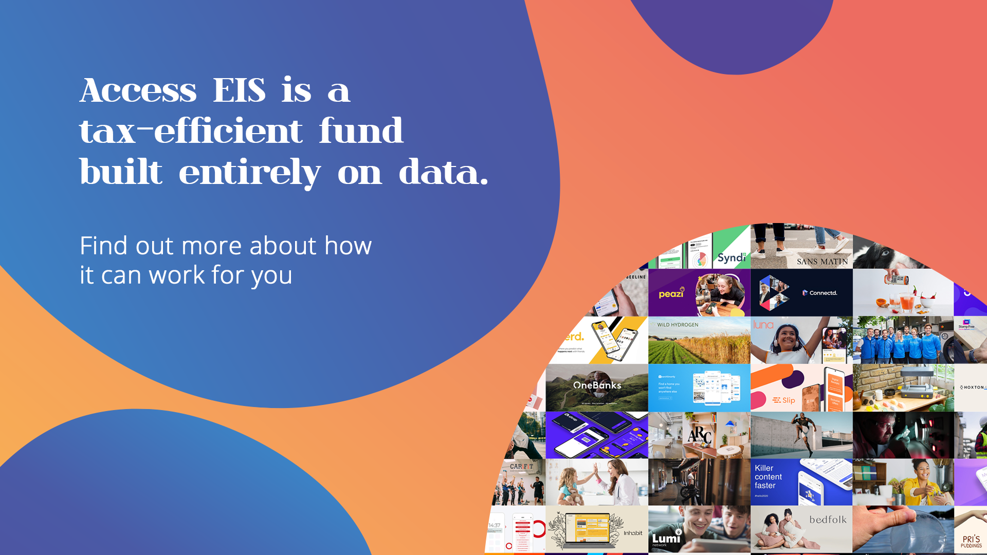 Access EIS Fund